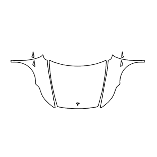 2025 Tesla Model Y Hood + Fender Pre-cut